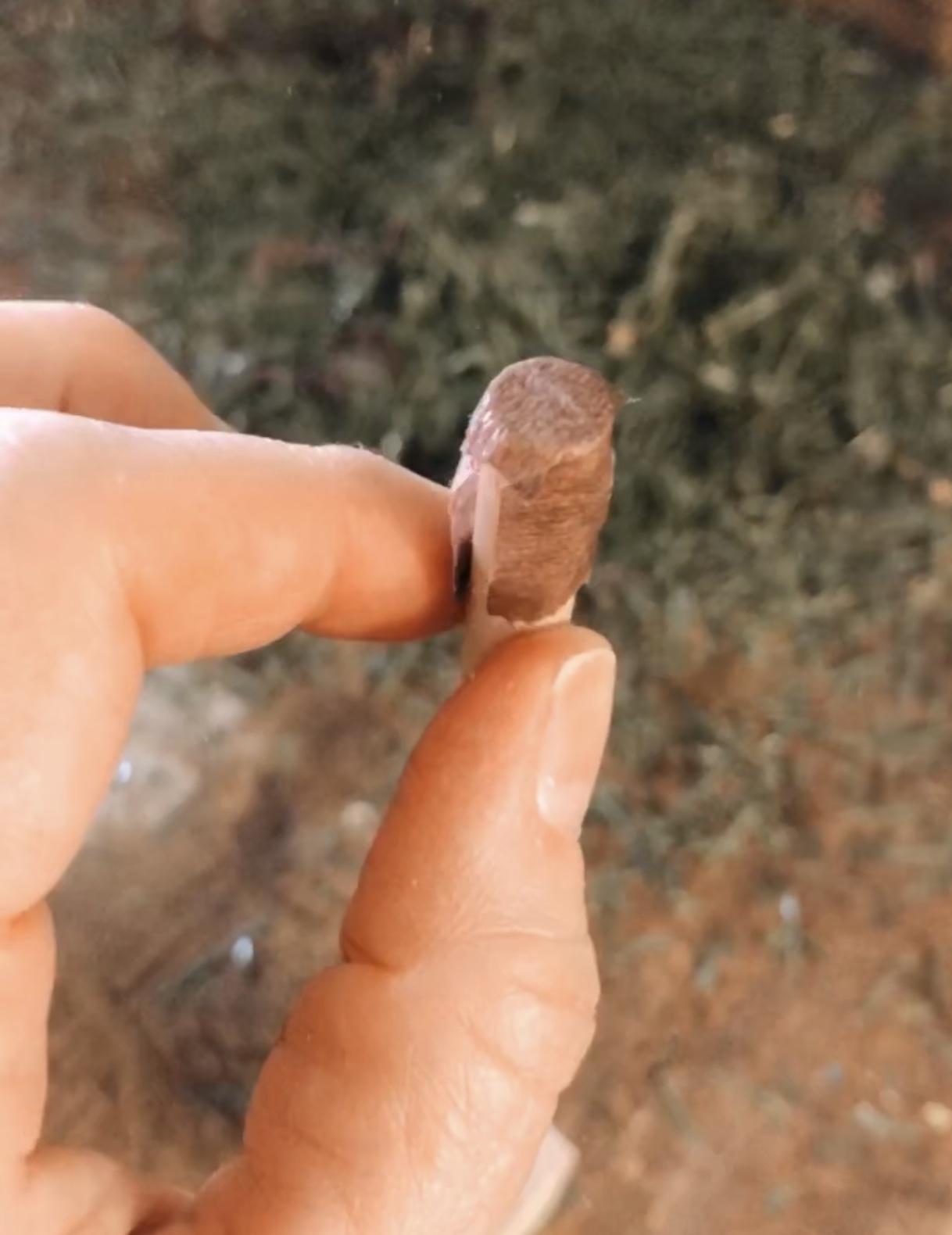 How to make a vintage looking feather tree - House on Winchester